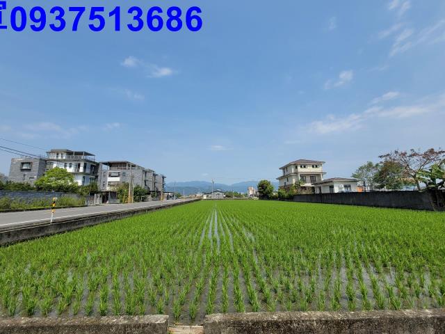 員山農地-1