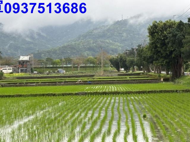 宜蘭市農地-11