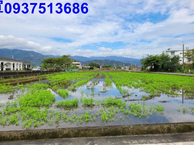 宜蘭員山農地-7