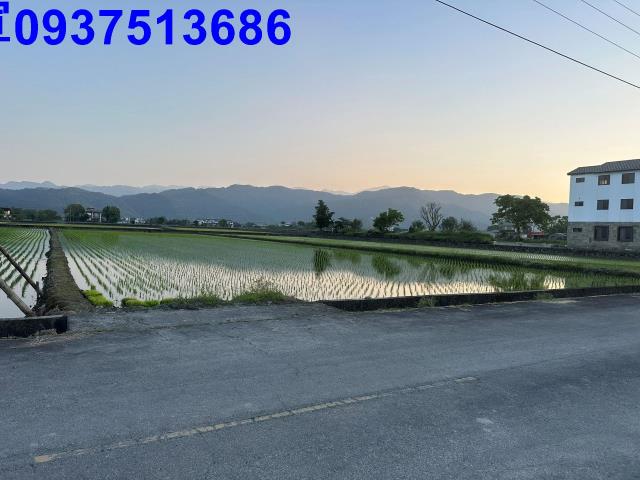 三星農地-14
