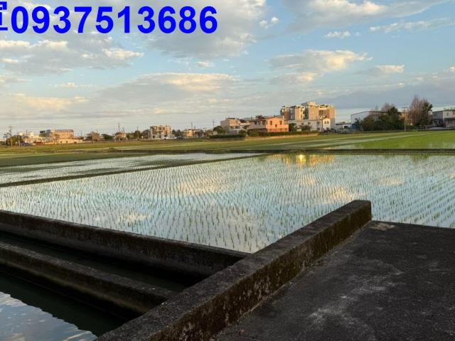 壯圍農地-3