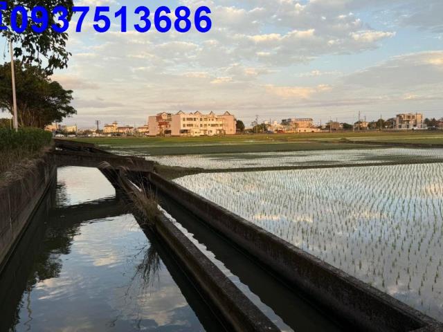 壯圍農地-5
