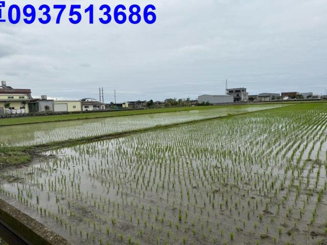 宜蘭農地-1
