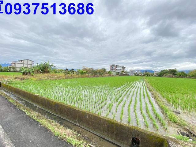 宜蘭農地-1