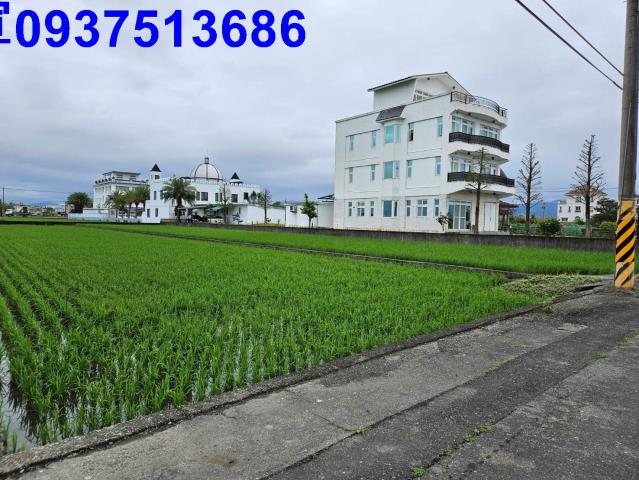 員山農地-11
