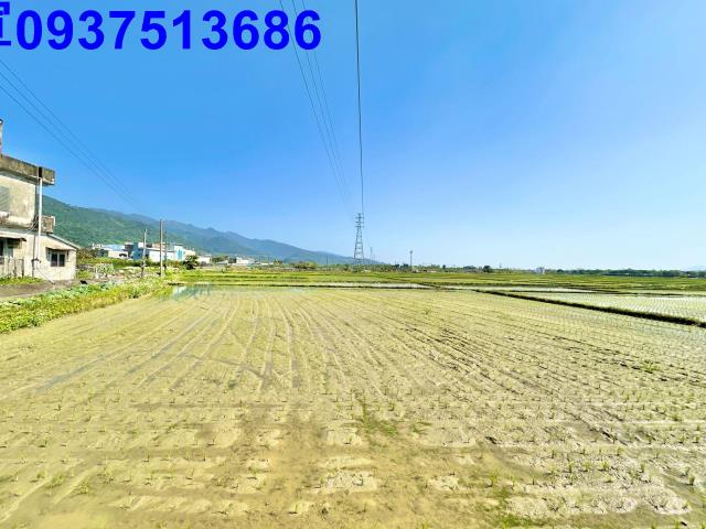 宜蘭頭城農地-1