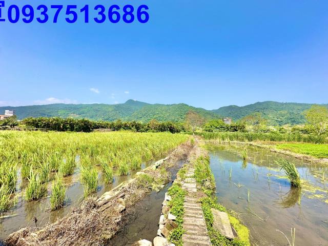 宜蘭頭城農地-13