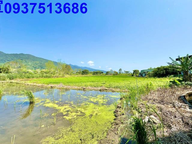 宜蘭頭城農地-3