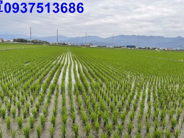 宜蘭壯圍農地-3