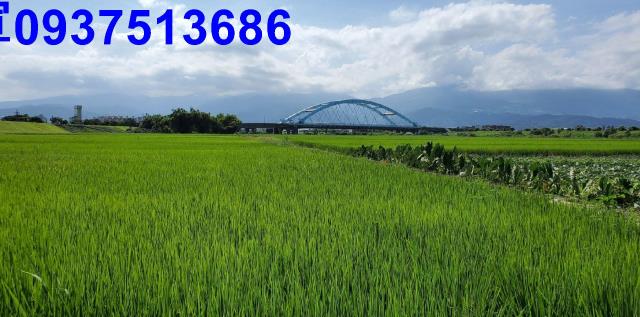 宜蘭宜蘭市農地-10