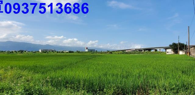 宜蘭宜蘭市農地-14