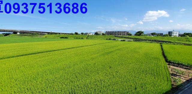 宜蘭宜蘭市農地-0