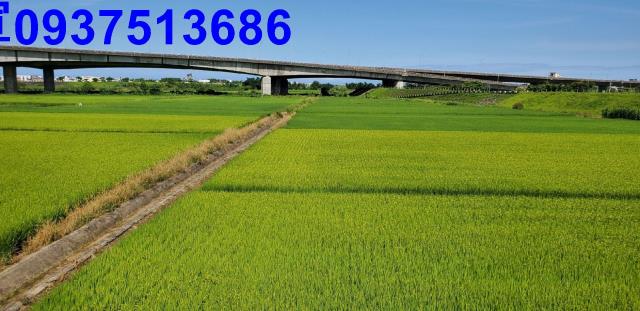 宜蘭宜蘭市農地-1