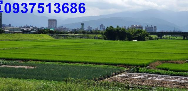宜蘭宜蘭市農地-4