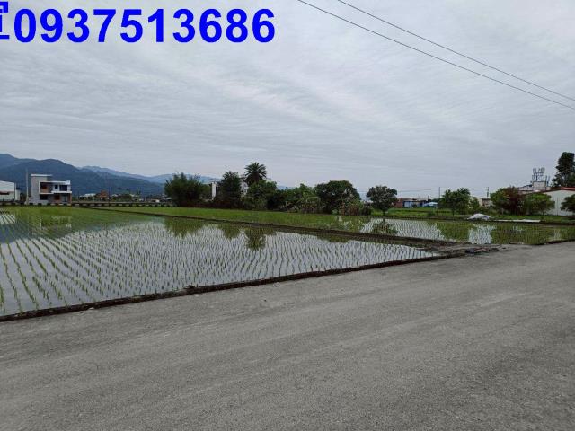宜蘭三星農地-1