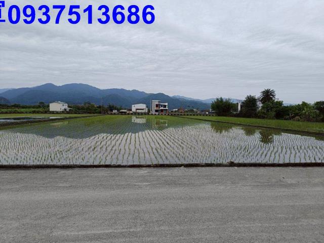 宜蘭三星農地-3