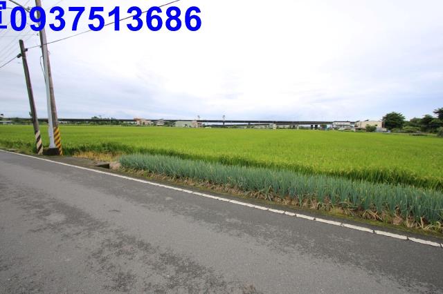 宜蘭壯圍農地-8