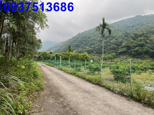宜蘭農地-5