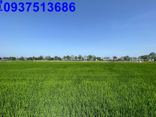 宜蘭農地-1
