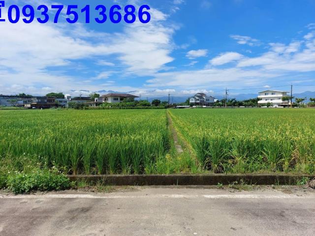 宜蘭農地-7