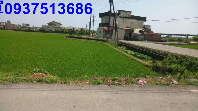 壯圍農地-2