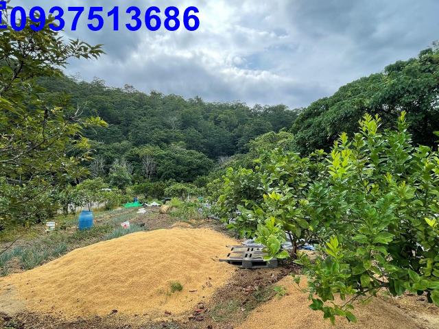 員山農地-6