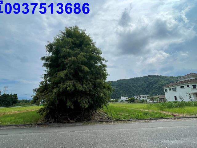 員山農地-2