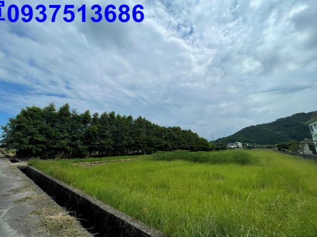 員山農地-7