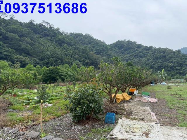 員山農地-10