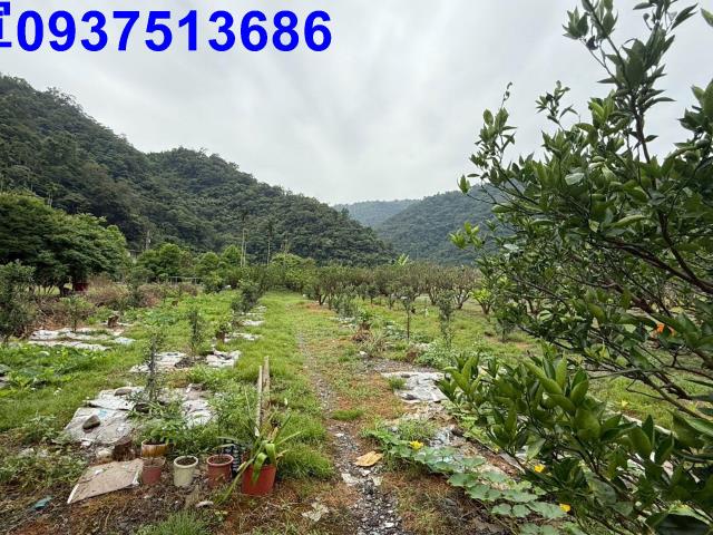 員山農地-12