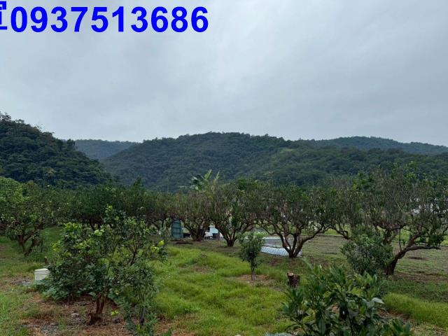 員山農地-2