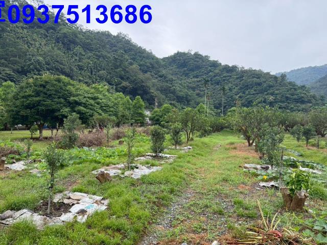 員山農地-4
