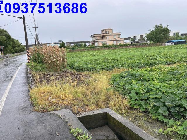 五結農地-6