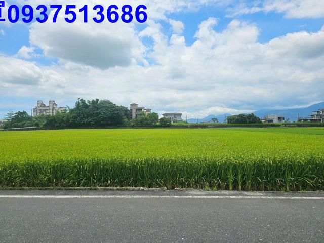 冬山農地-0