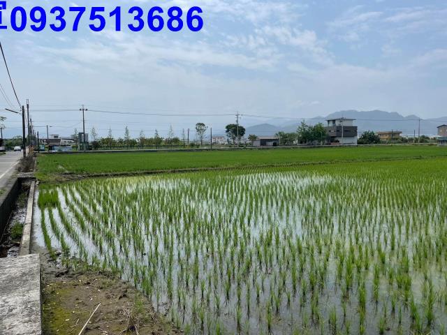 宜蘭員山農地-9