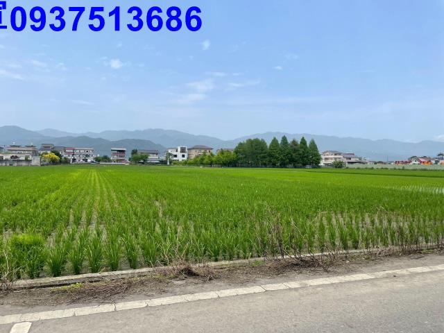 宜蘭員山農地-0
