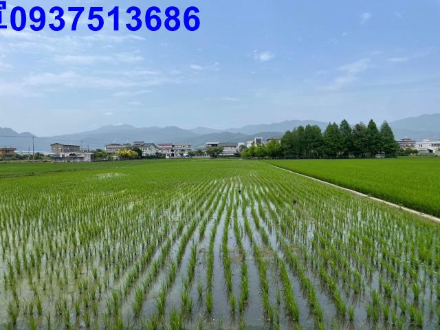 宜蘭員山農地-3