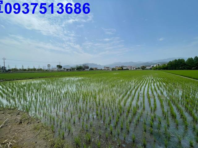 宜蘭員山農地-4