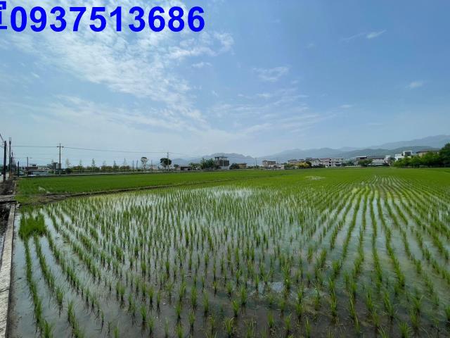 宜蘭員山農地-5