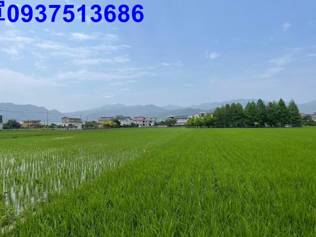 宜蘭員山農地-6
