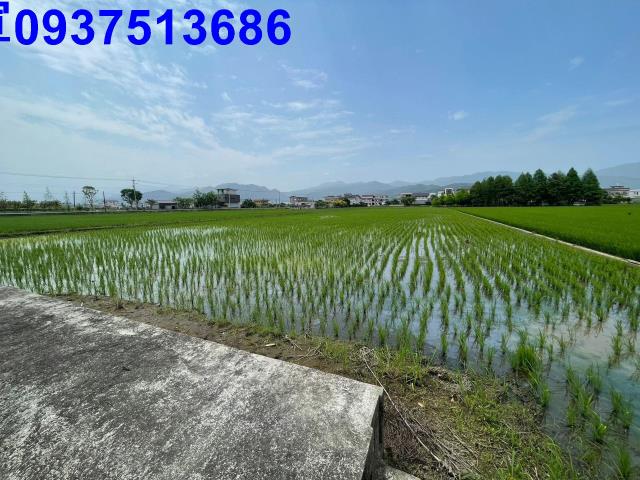 宜蘭員山農地-8