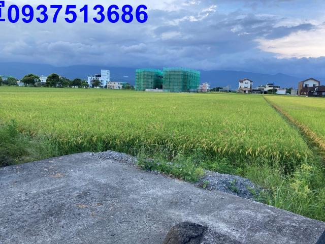 宜蘭壯圍農地-8