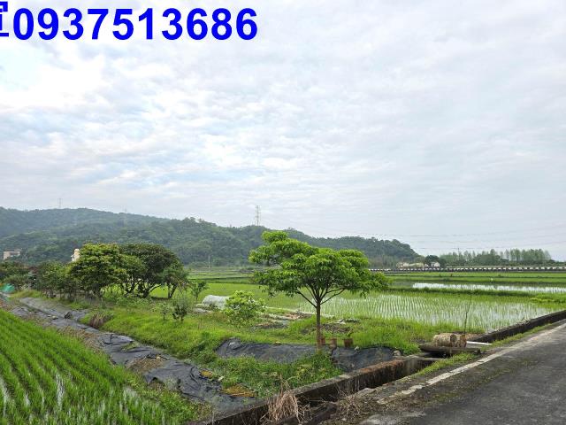員山農地-2