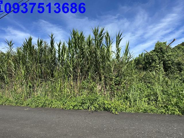 蘇澳倉儲用地-0