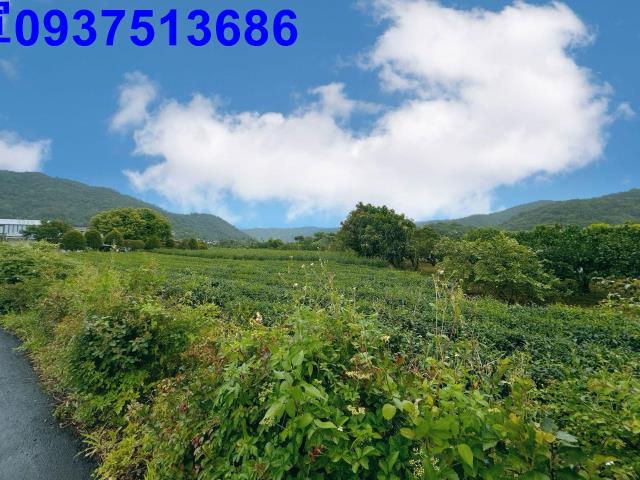 冬山農地-4