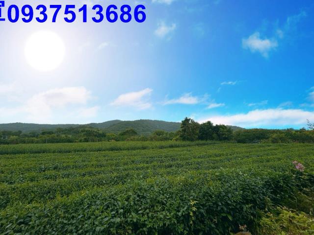 冬山農地-5