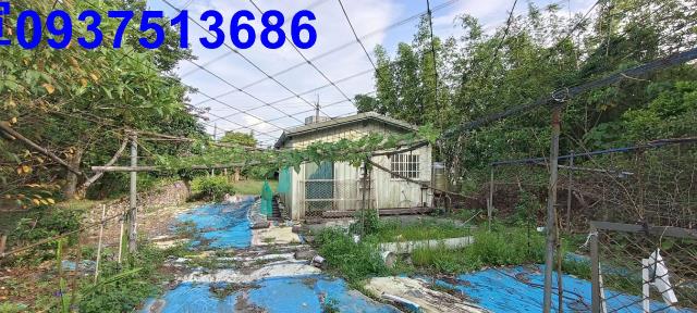 員山農地-7