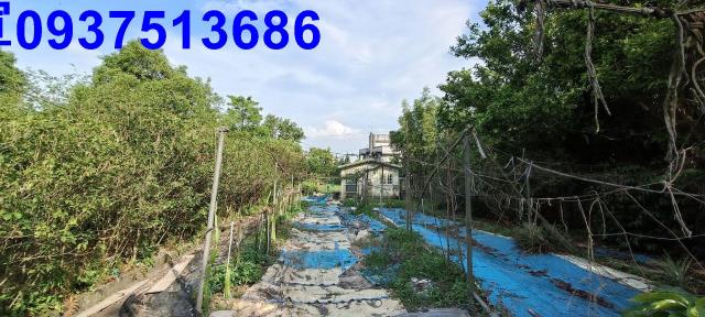 員山農地-8