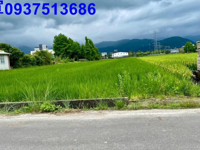 員山農地-0