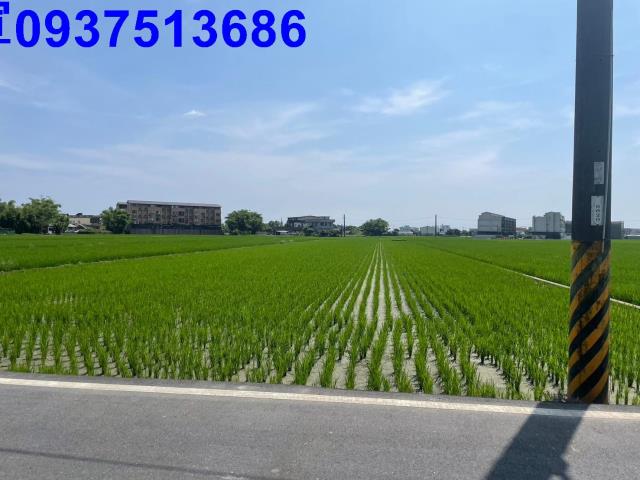 宜蘭農地-1